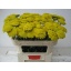 product/img.floraplaza.nl/6325-75-LIVE_fotos-0xCB668F08EB383DF555CA82E6B0FCC99E5527789B.jpg