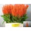 product/img.floraplaza.nl/6340-60-LIVE_fotos-0x55642A4F5FF7E363F54662C34C72339A7A0E60F0.jpg