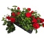 product/img.floraplaza.nl/6449-510-LIVE_fotos-0x534AAA3DF0D8229254BD655FA1A6EF83762B60A0.jpg