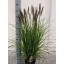 product/img.floraplaza.nl/6634-23-LIVE_fotos-0xD9D05400BAAC0A58E33716CBA5BFBC7B854C0B31.jpg