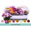 product/img.floraplaza.nl/7382-12-LIVE_fotos-0x99FE0EDAEA8B936230235AE80001F81018DDA1BA.jpg