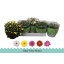 product/img.floraplaza.nl/7384-23-LIVE_fotos-0xDFADCD731A93C5BE673CC657A949109C354525C5.jpg