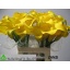 product/img.floraplaza.nl/7687-60-LIVE_fotos-0x26CE48CC1BBB98B3CC3C6F1218AF8BB64345FB1B.jpg