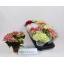 product/img.floraplaza.nl/8425-510-LIVE_fotos-0xD9F19E221856B7B6FE774D59AF5225BB6FA818B3.jpg