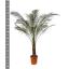 product/img.floraplaza.nl/9492-27-LIVE_fotos-0xF9B5307E3B0A052E84353A5D8291D489A1461A1C.jpg