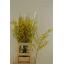 product/img.floraplaza.nl/961-70-LIVE_fotos-0x5A48F4FB0BDF674A58087E5CEBF50BE39EE85282.jpg