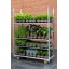 product/img.floraplaza.nl/9685-LIVE_fotos-0x5D8DF99ED02C577A6BE8DBF9040DEBC5A080B1EA.jpg