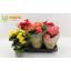 product/img.floraplaza.nl/9830-13-LIVE_fotos-0x141F0267B590519A7C8BBCB71C58A62CCA6E6B16.jpg