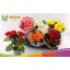product/img.floraplaza.nl/9830-13-LIVE_fotos-0xA3B9B51CF6E9EBDFE4DFC783C59A26C4E2229880.jpg