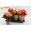 product/img.floraplaza.nl/9830-13-LIVE_fotos-0xC202DAC810B8E82B76D45C39E2A65B0CEC310D2B.jpg