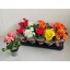 product/img.floraplaza.nl/9830-9-LIVE_fotos-0xC71CF77A1250AB9DE13BEA6DE403A8D7A1CAFBFC.jpg