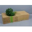 product/img.floraplaza.nl/ARALIA_RIO_VERDE_30CM-ASSORTI_fotos-MVA-gcon aralia 40cm.jpg