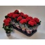 product/img.floraplaza.nl/BEGBAL9-LIVE_fotos-0x3E5D37A6345868994D0BF77D6178AC54FDED727A.jpg