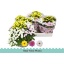 product/img.floraplaza.nl/CHR23IND-LIVE_fotos-0x43BCB70CBA2EBF70DA0F3166D3E21AF31BFB5CFF.jpg