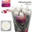 product/img.floraplaza.nl/CHRANTO-LIVE_fotos-0x1748F8C9AC910633DFC2203FE9B6AFA74A3E1766.jpg