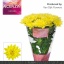 product/img.floraplaza.nl/CHRBALY-LIVE_fotos-0xCB754949BA6E427317A8A26DD055B0C6D9F5E401.jpg