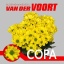 product/img.floraplaza.nl/CHRCOP-LIVE_fotos-0x00EC30E0014BAE96B654D0A1853F54B974A284CC.jpg