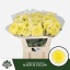 product/img.floraplaza.nl/CHRMAYE-LIVE_fotos-0x45FFD454DDF0CED2C6AF842A4223B8EA9BCD5179.jpg