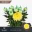 product/img.floraplaza.nl/CHRMAYE-LIVE_fotos-0x8EC290E95EC339DA1142437AB4B5F1D4C6A53982.jpg