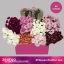 product/img.floraplaza.nl/CHRMIX-ASSORTI_fotos-MVA-RFH-Flowers-For-Her-mix-P100.jpg
