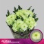 product/img.floraplaza.nl/CHRZL7-LIVE_fotos-0x9ED9625764A94BE7509387B78AC29BEE5FD20ADD.jpg