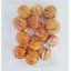 product/img.floraplaza.nl/FRUOR-ASSORTI_fotos-Lino-5817 - Sinaasappels heel oranje.jpg