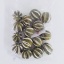 product/img.floraplaza.nl/FRUORAG-ASSORTI_fotos-Lino-2256 - Sinaasappels heel groen.jpg