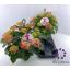 product/img.floraplaza.nl/HYD23TABT-LIVE_fotos-0xC02B8B015B0B8E06E9E0EA6BA30149AB005EF6E8.jpg