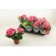 product/img.floraplaza.nl/HYDR10-LIVE_fotos-0x7C80A609C82C6B10EA72BCA99A1C37AF5D3D396D.jpg