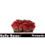 product/img.floraplaza.nl/KRFIRE5-LIVE_fotos-0x032FA5BA47CF6DACDD1364EC42B7C65A4A7608F1.jpg