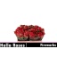 product/img.floraplaza.nl/KRFIRE5-LIVE_fotos-0xF79C609C01050CCB4DC632C6A8325FB8C39A8992.jpg