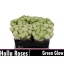 product/img.floraplaza.nl/KRGREG4-LIVE_fotos-0xB58001C2DF8D1FE9C25495988868474F72009EE9.jpg