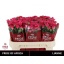product/img.floraplaza.nl/KRLIA7-LIVE_fotos-0x10B3F3A9D4A251A68C8109E03E93D45C80A598F9.jpg