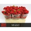 product/img.floraplaza.nl/KRMIR5-LIVE_fotos-0xB1C198F0E2F47660596273C3978E868857251BC0.jpg