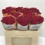 product/img.floraplaza.nl/KRRUB5-LIVE_fotos-0xF8BD010B34AEEABBE5425BCB5EC1725829C95FA0.jpg