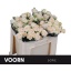 product/img.floraplaza.nl/KRSOF5-LIVE_fotos-0x3D02FDAEF37C22A650105110420E0A456ECAE7E3.jpg