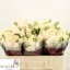 product/img.floraplaza.nl/KRSOF5-LIVE_fotos-0xD5D89F600C4FF9C9D099B62EF3FC0109592C6B24.jpg