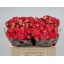 product/img.floraplaza.nl/KRSUMD5-LIVE_fotos-0x8ACAE17A87C025DF9AB1A4BEAD0A2D09B4E7D3CB.jpg