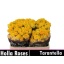 product/img.floraplaza.nl/KRTAR4-LIVE_fotos-0x31EA5802190C954B0ECDA9064F51220E5E1449BD.jpg