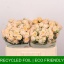 product/img.floraplaza.nl/KRTRI5-LIVE_fotos-0x86D401B7165C9D8DCF69F1CE040982AC91D94DD6.jpg