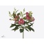 product/img.floraplaza.nl/LALSFLONOA-ART_Fotos-VBN-vbn121446.jpg