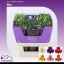 product/img.floraplaza.nl/LALSMIX-LIVE_fotos-0x3BA7E94EEB9CAD9404CE7EB6A6700FFB38AC1E80.jpg