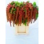 product/img.floraplaza.nl/LAMA75CORF-LIVE_fotos-0xEA61DD3B765246C0671A1D9BF34AA839F507E5B8.jpg