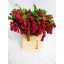 product/img.floraplaza.nl/LAMA75ROS-LIVE_fotos-0xABE8B57236E856FC58CC97FB91A340F0ACE53C61.jpg