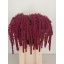 product/img.floraplaza.nl/LAMA75ROS-LIVE_fotos-0xAEFA945C047BD9BA6CCD12086DFFBC41E58124C6.jpg