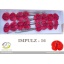 product/img.floraplaza.nl/LANTIMP-LIVE_fotos-0x89B2453706613FECF9C568A29717F6BE5183F3A5.jpg