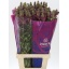 product/img.floraplaza.nl/LANTPOTC8-LIVE_fotos-0x24ACC77174B4EFE82E30AE6C8968619250738DA3.jpg