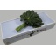 product/img.floraplaza.nl/LARA5-ASSORTI_fotos-gcon-GCON Blad aralia pbos extra Orca.JPG