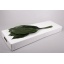 product/img.floraplaza.nl/LASP7-LIVE_fotos-0xC275EF5D5AE34AC67D43EE160A6A31EBAA28409A.jpg