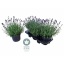product/img.floraplaza.nl/LAVHID19-LIVE_fotos-0x416D6113A0F0F114C02F3A71D1486E7BDE1B1561.jpg